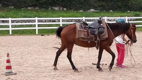 Cavalcailvento