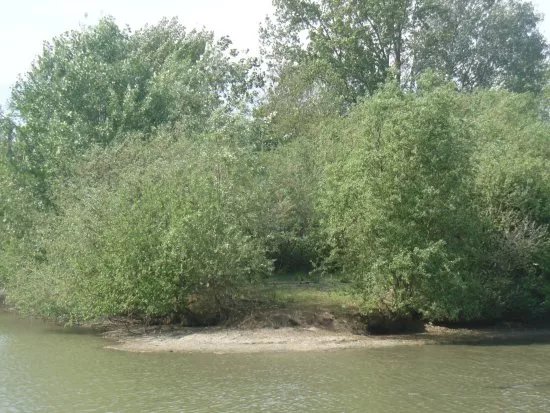 Parco La Barona