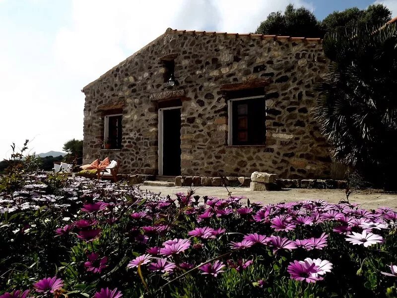 Old and cozy typical stone house with terrace under the olive trees