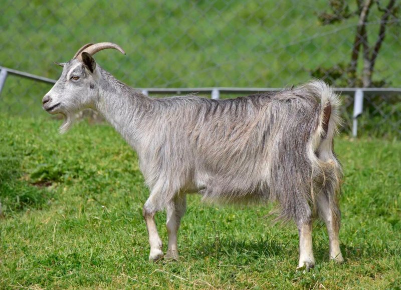 Elettrodomestici Di Maria Grazia Mascia