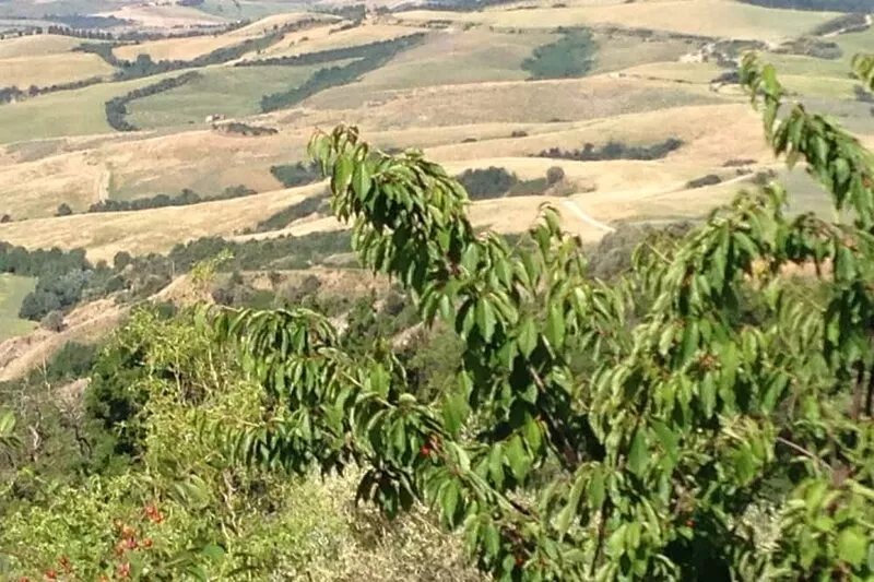 Charming ground floor villa somewhere in sleepy Tuscany*Fully Refundable Voucher