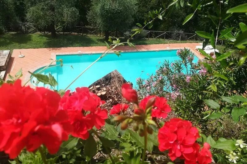 PODERE AGRITURISTICO LUCHIANO, NATURE AND RELAX IN UMBRIA