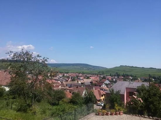 Domaine Valentin Zusslin