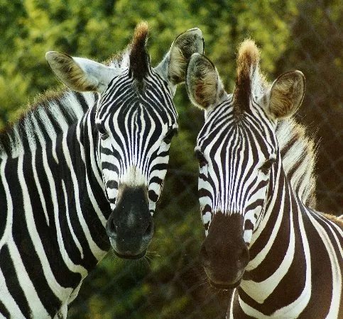 Tierpark Irgenod