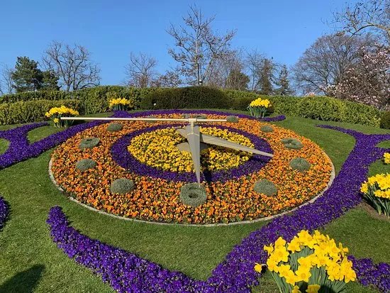 The Flower Clock