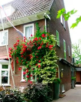 Best2Be Bed & Breakfast