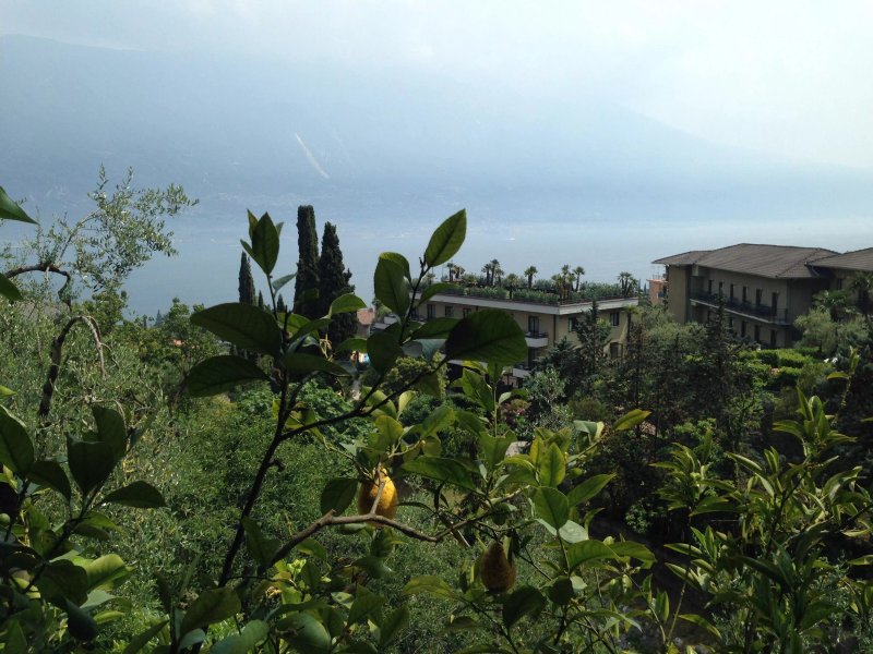 Residence Miravalle  -  Snack Bar