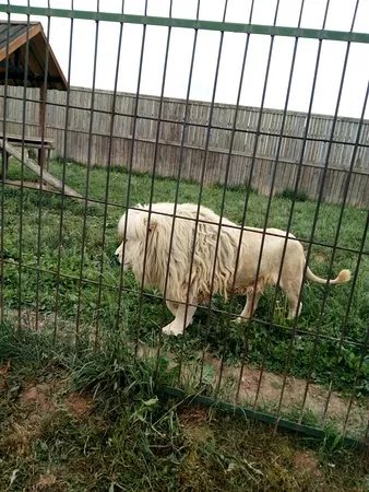 Zoo Wojciechow
