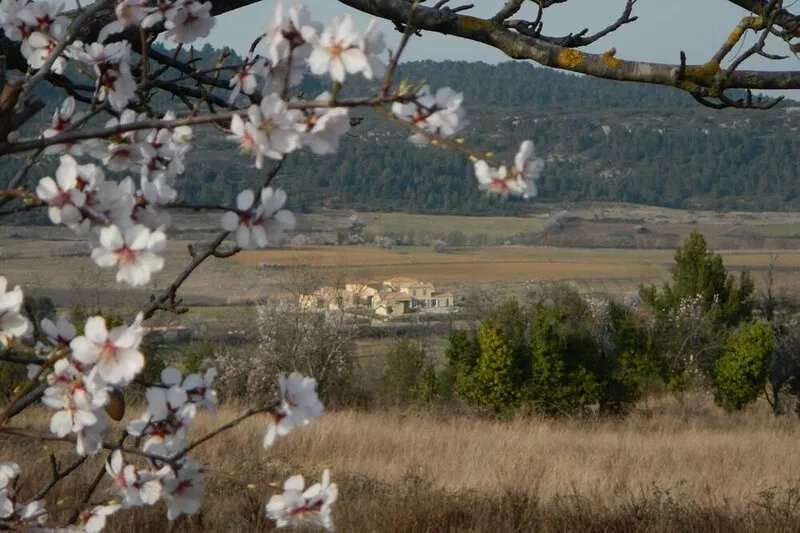 Large house in peaceful location! In July/Aug. discount for more than 14