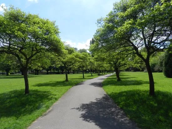 Florence Park