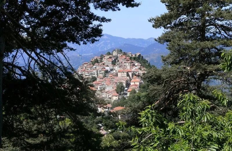 Villa with a stunning view of the Mediterranean Sea & sea alps, pets welcome.