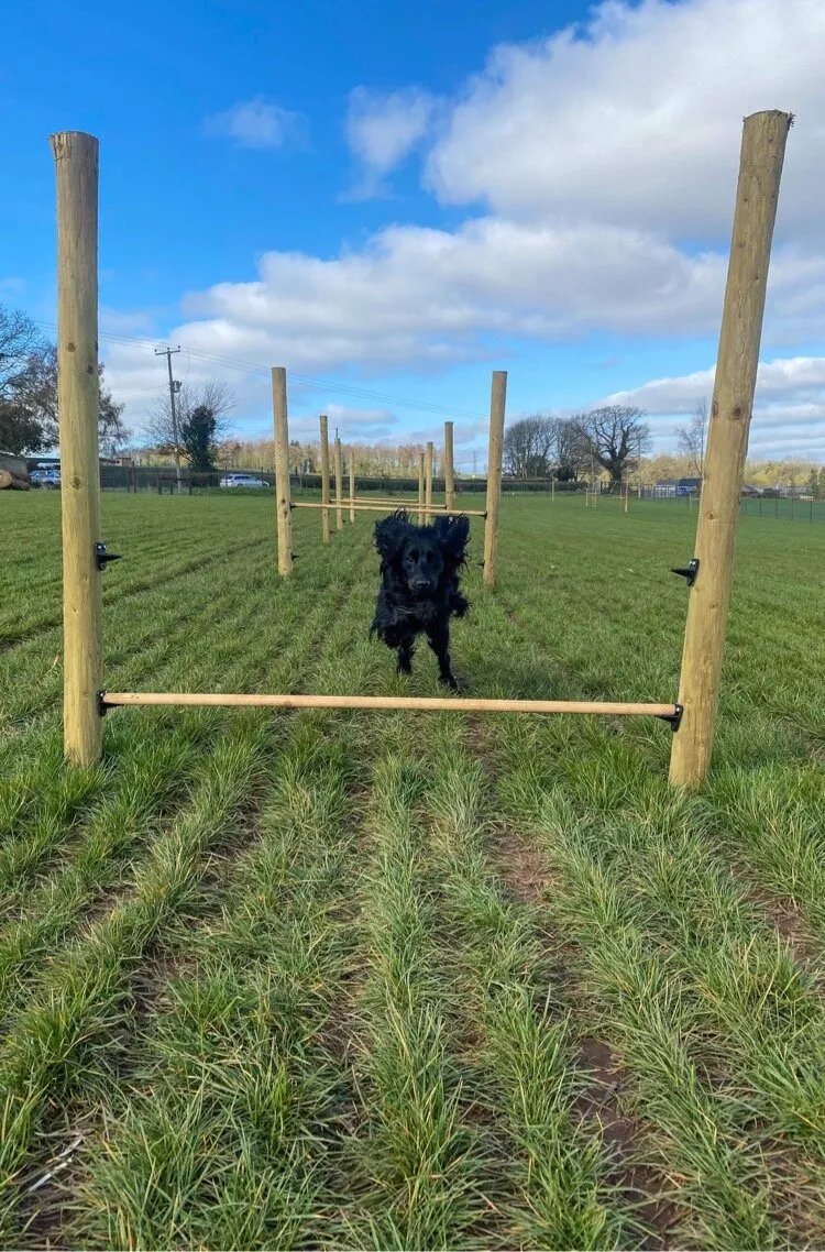 Treworgan Fields