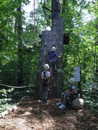 Kletterwald