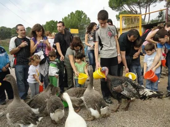 Centre D'apropament a la Natura