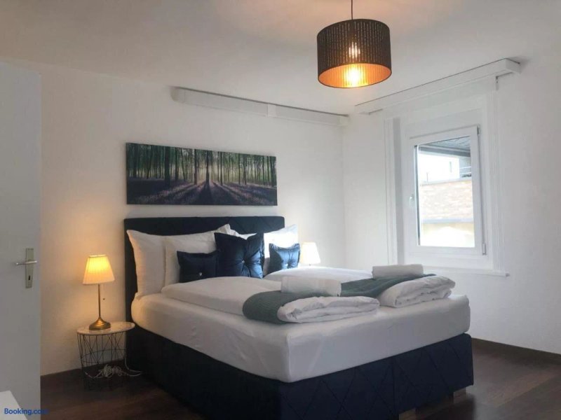 Inn Joy Apartments - Sankt Gallen Lachen