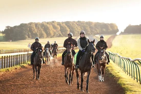 Discover Newmarket Tours