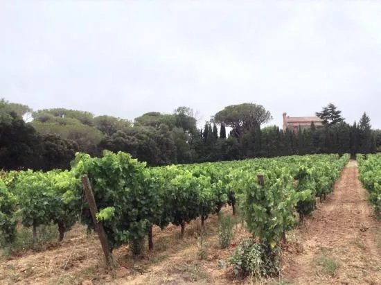 Chateau Beauregard Mirouze