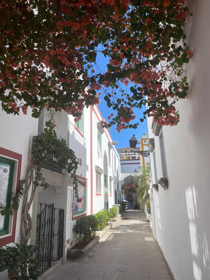 Billy's Bar Restaurant Puerto de Mogan Gran Canaria