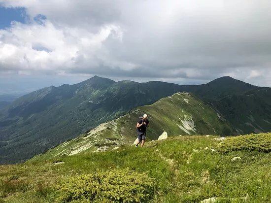 Mountain Joy