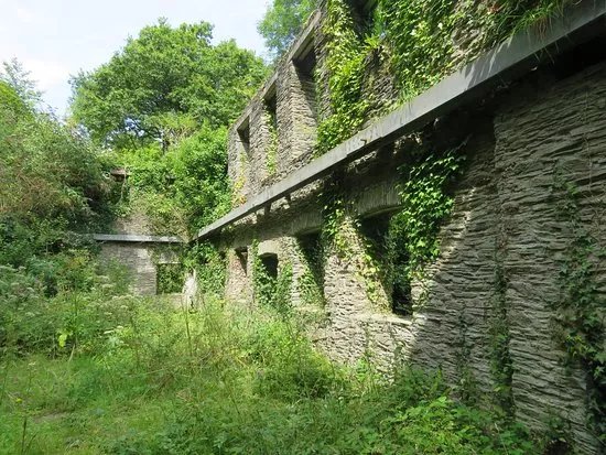 Cotehele and Metherell circular walk