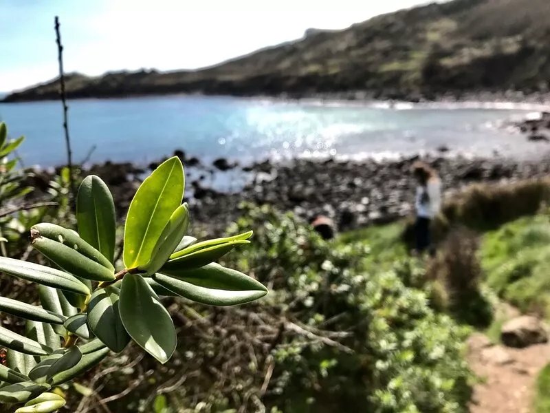 Cornish retreat for the outdoor adventurer!