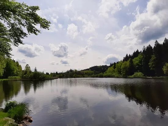 Deininger Weiher