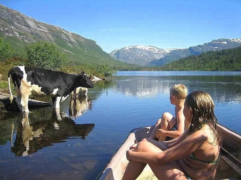 Newly built, high-quality holiday home close to Viksdalsvatnet — sleeps 9