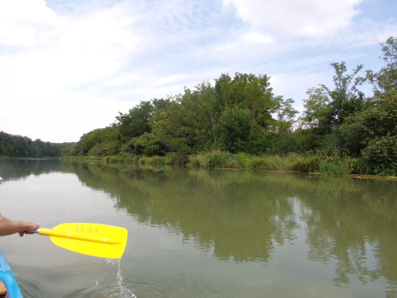 Aranykárász Camping