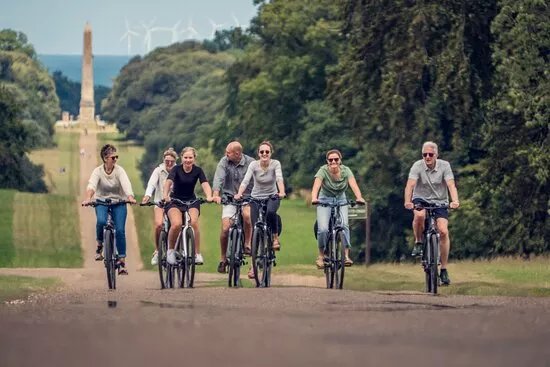 Torque E-Bikes