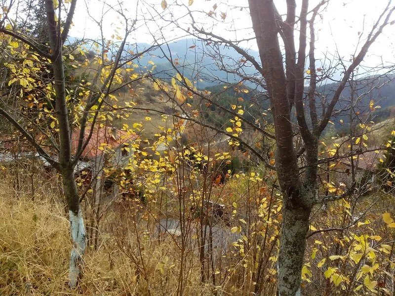 Chalet Zornica is a 250 old stone mountain house.Breathtaking view.Beautiful