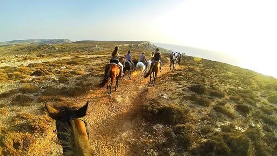 Golden Bay Horse Riding