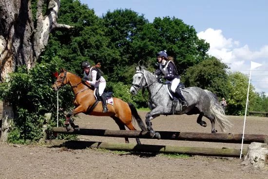 Mount Mascal Stables