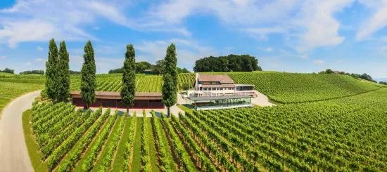 Weingut Hausammann