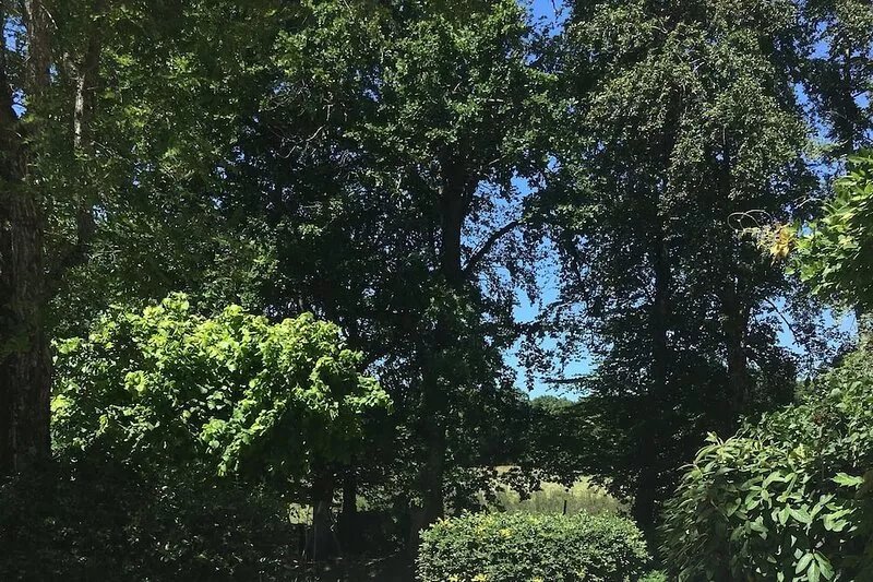 Charming house in a wooded park with covered and heated swimming pool
