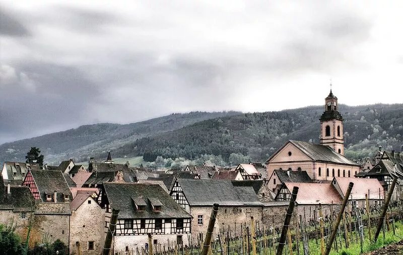 LA LISIÈRE - Warm Alsatian gîte, view of the vineyard.