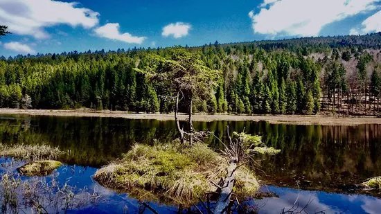Kleine Arbersee