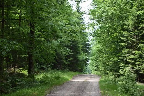 Parks & Nature