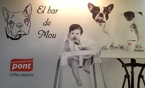 El Bar De Mou