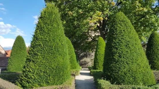 Burgermeistergarten