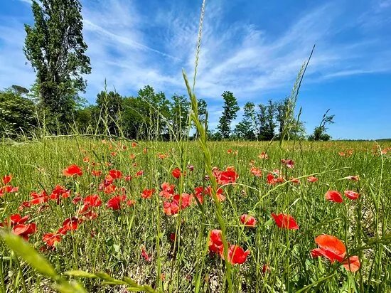 Riserva Naturale Abbadia di Fiastra