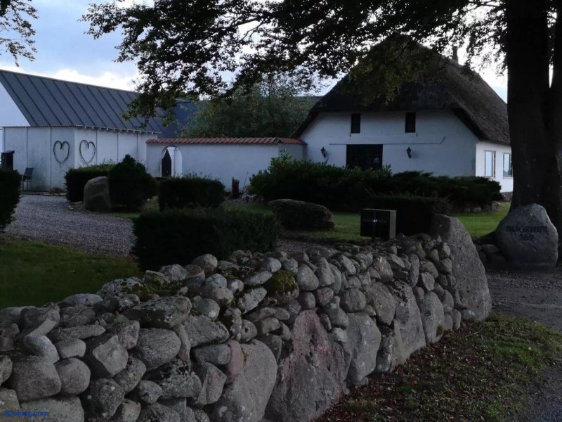 Bøgehus Bed & Breakfast