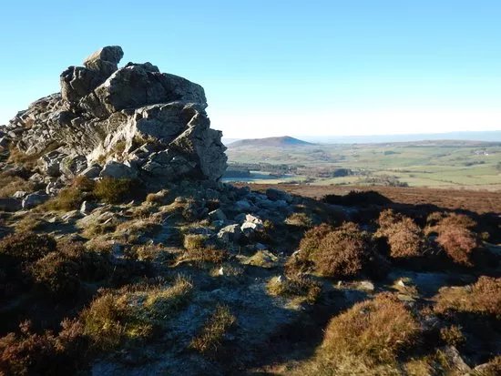 Stiperstones Nature Reserve