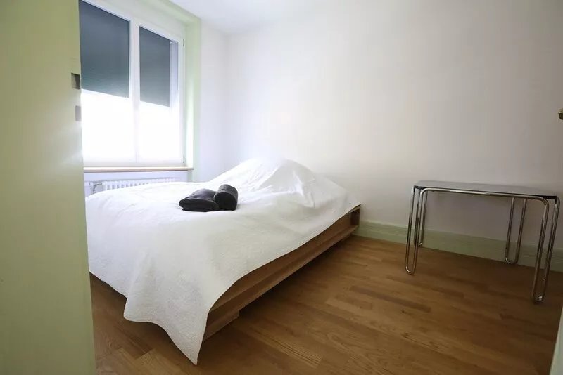 super renovated apartment in Zurich's trendy district
