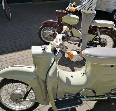 Bordsteinschwalbe