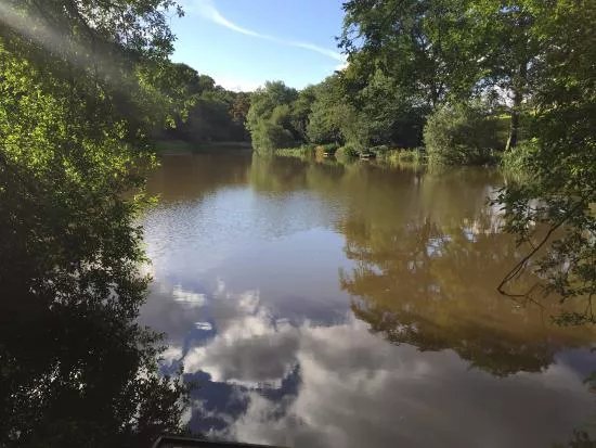 Cliviger Fish Ponds