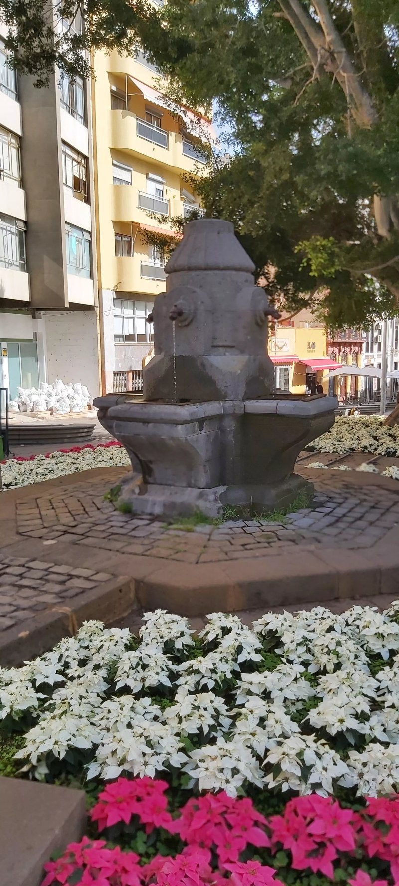Fuente De Santo Domingo