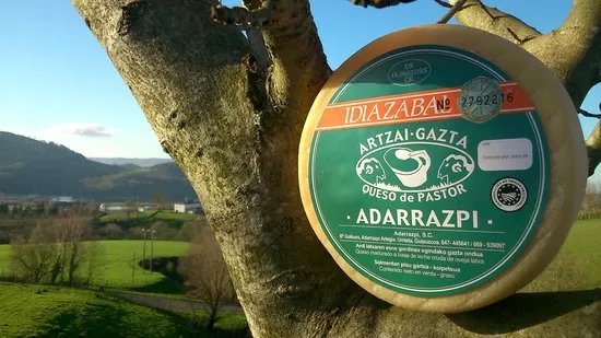 Basque Cooltour - Day Tours