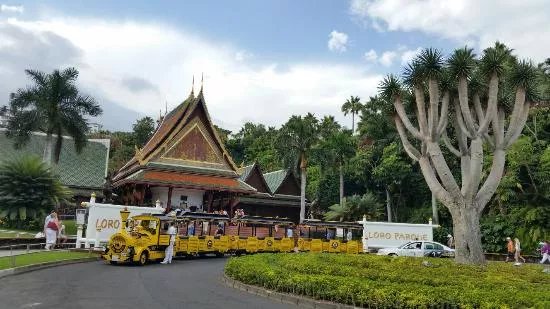 Attractions