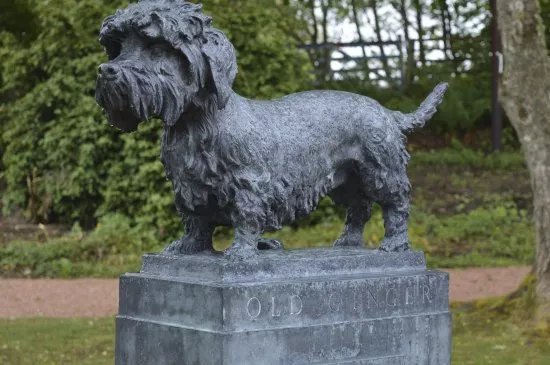 The Haining Kennels