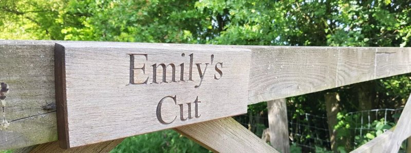 Emily's Cut Campsite